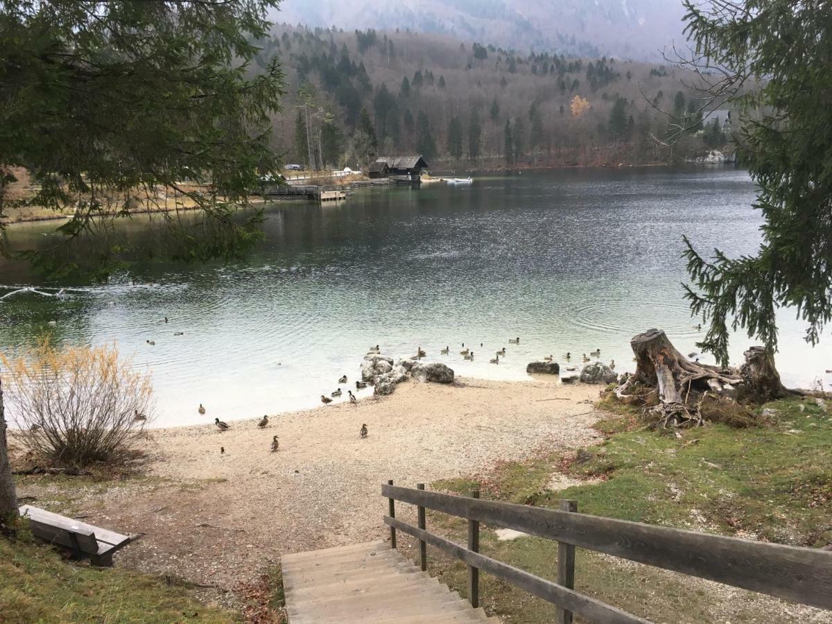 Casa Bohinj Apartman Kültér fotó