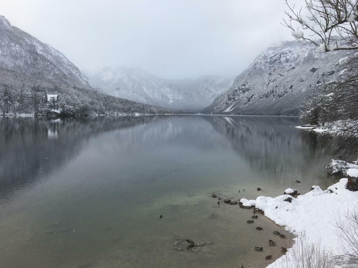 Casa Bohinj Apartman Kültér fotó